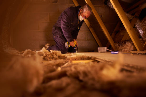Best Residential Insulation in Tavernier, FL